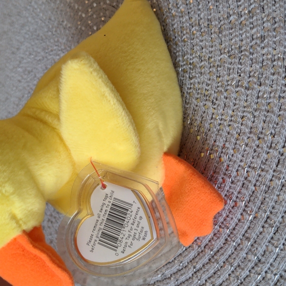 It's one duck, his name is Quackers, and publishers are interested! - Picture 5 of 5